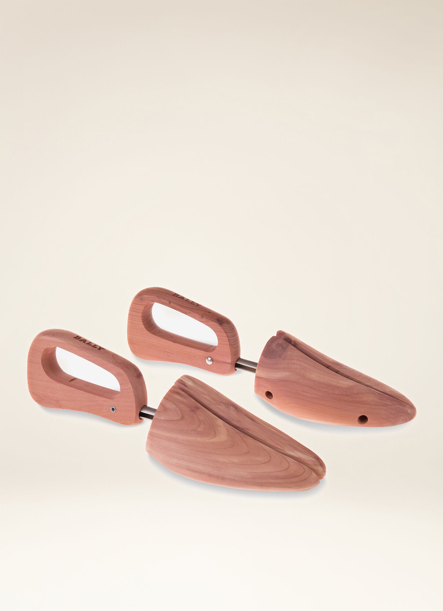 steve madden skechers