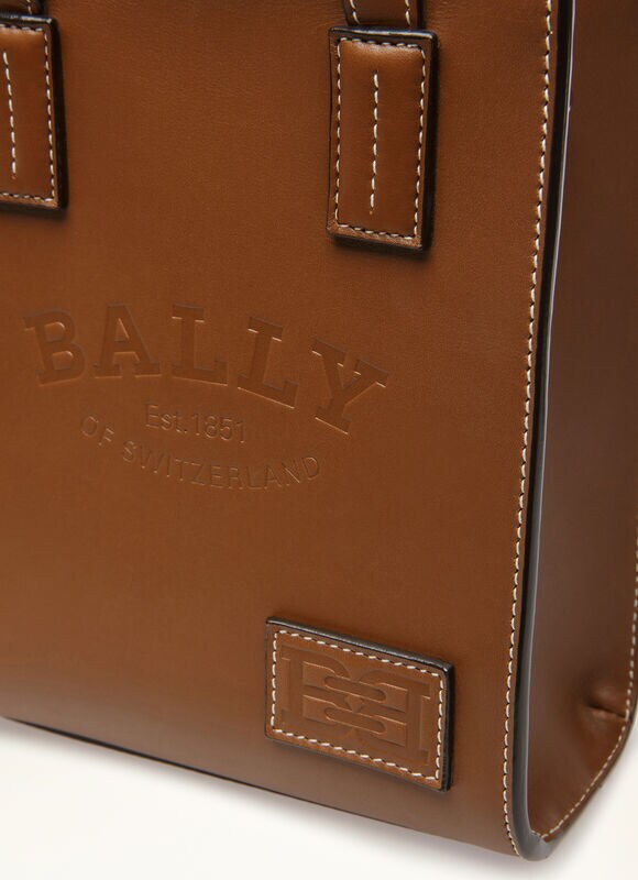 BROWN BOVINE Mini and Belt Bags - Bally