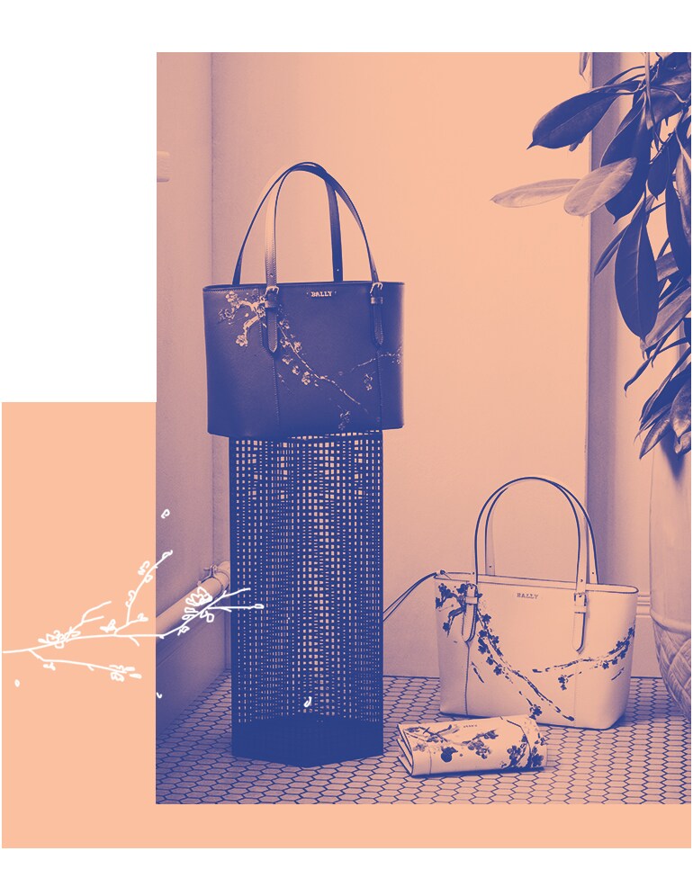 A step into Sakura season