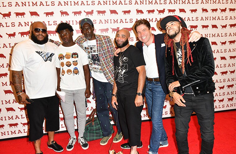 bally animals
